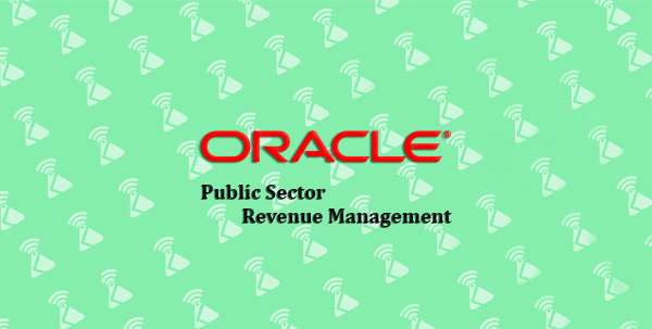Public Sector Revenue Management