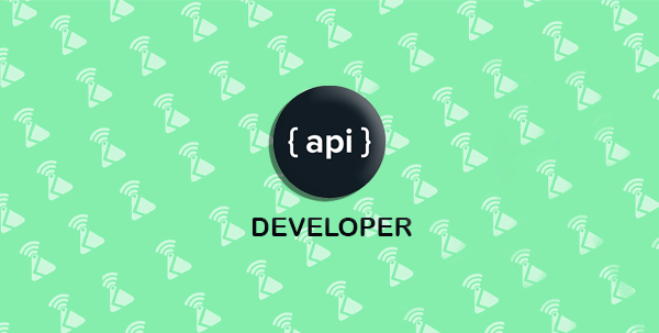 Api Developer