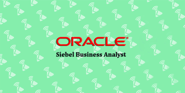 Siebel Business Analyst