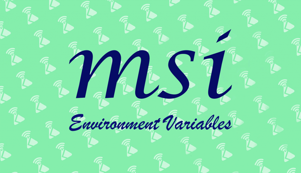 MSI Environment Variables