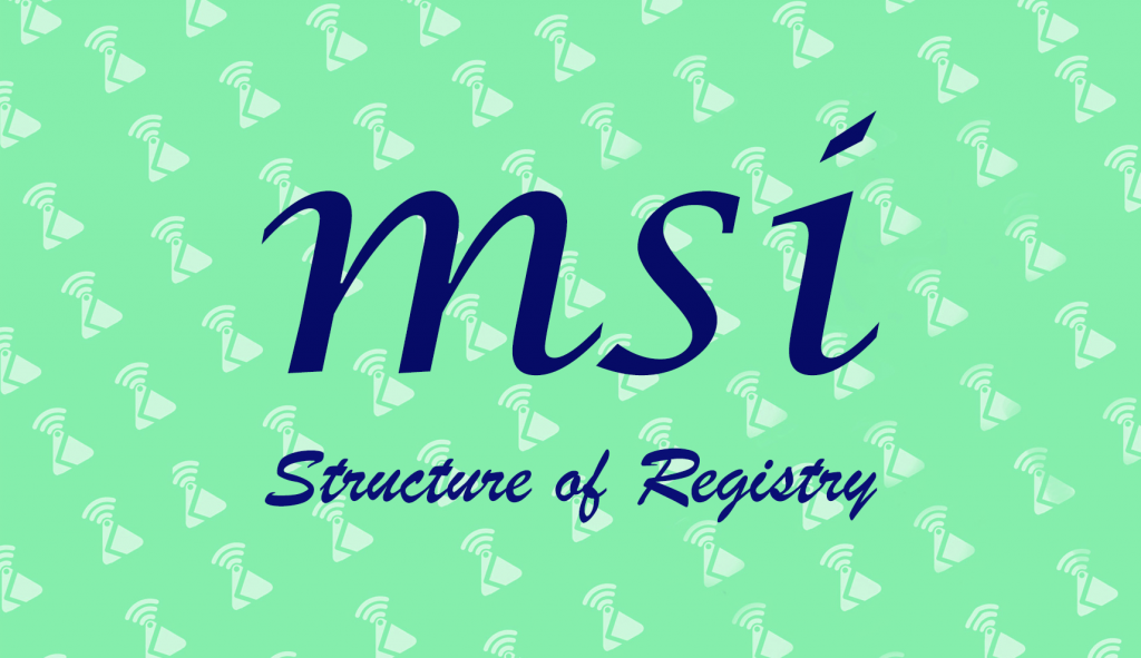 MSI Structure of Registry